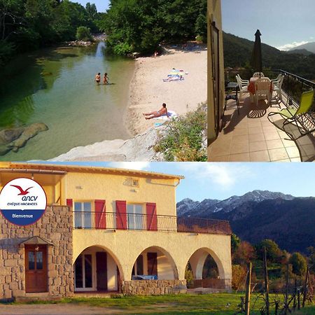 95M2 Au Calme A 25Mn Ajaccio, Plages, Linge Inclus Parking Ok Ucciani Eksteriør billede