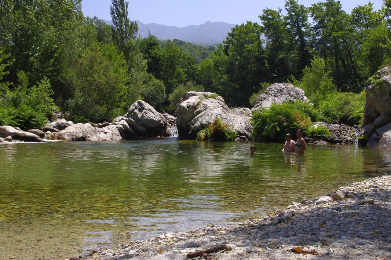 95M2 Au Calme A 25Mn Ajaccio, Plages, Linge Inclus Parking Ok Ucciani Eksteriør billede