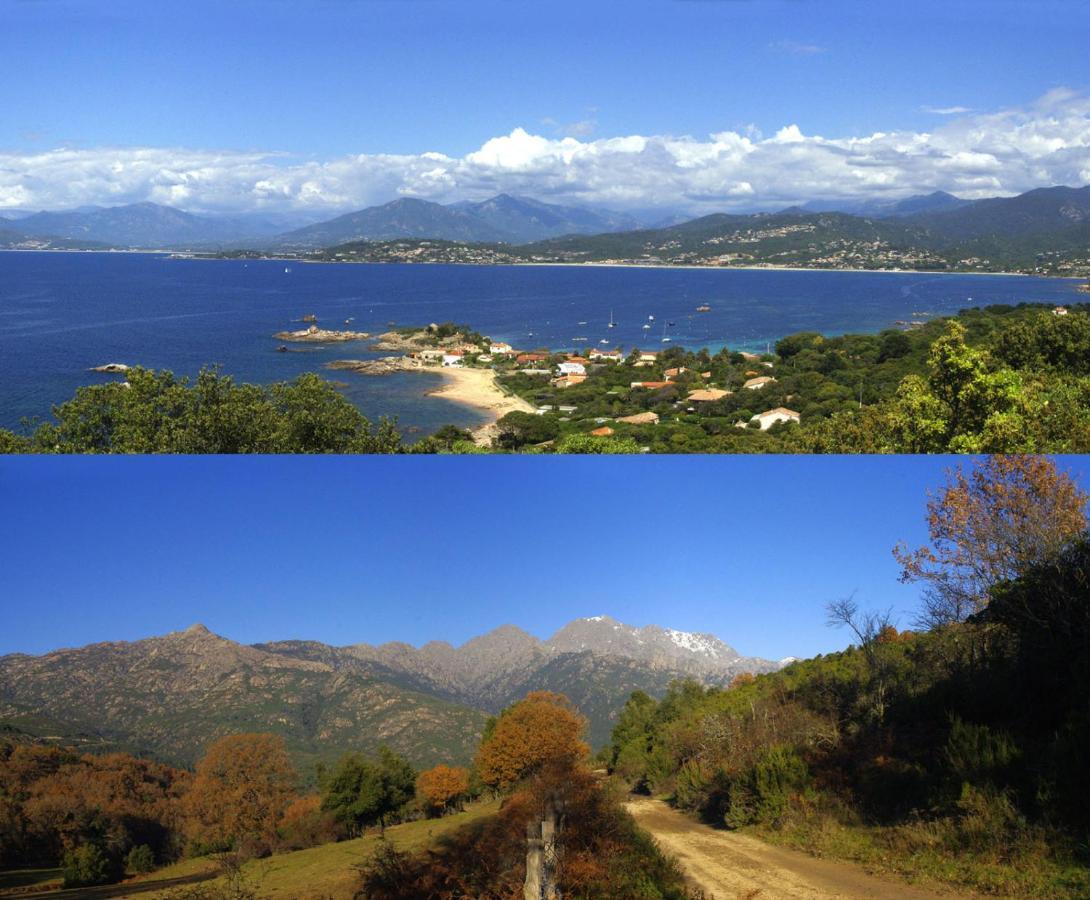 95M2 Au Calme A 25Mn Ajaccio, Plages, Linge Inclus Parking Ok Ucciani Eksteriør billede